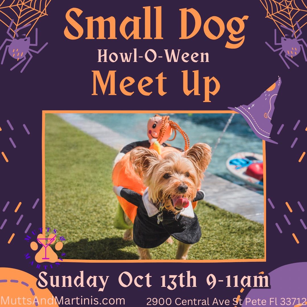 Small Dogs Howl-O-Ween Meet Up