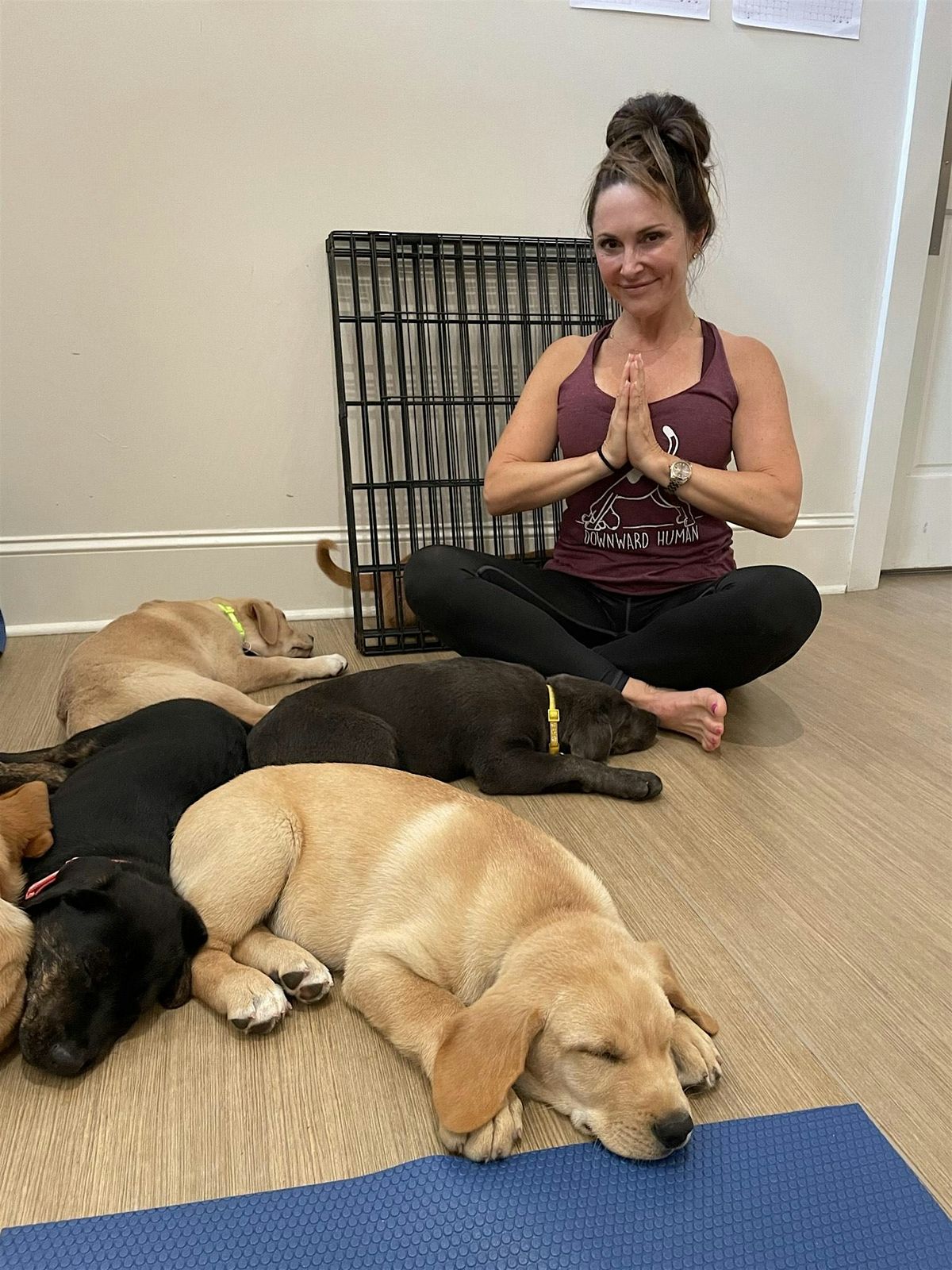 Puppy Yoga