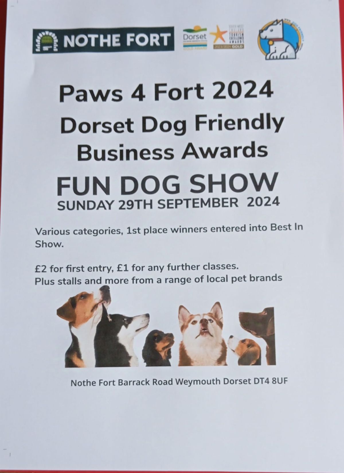 Paws 4 Fort 2024 Fun Dog Show and Dorset Dog Friendly Business Awards & Fun Dog Show 