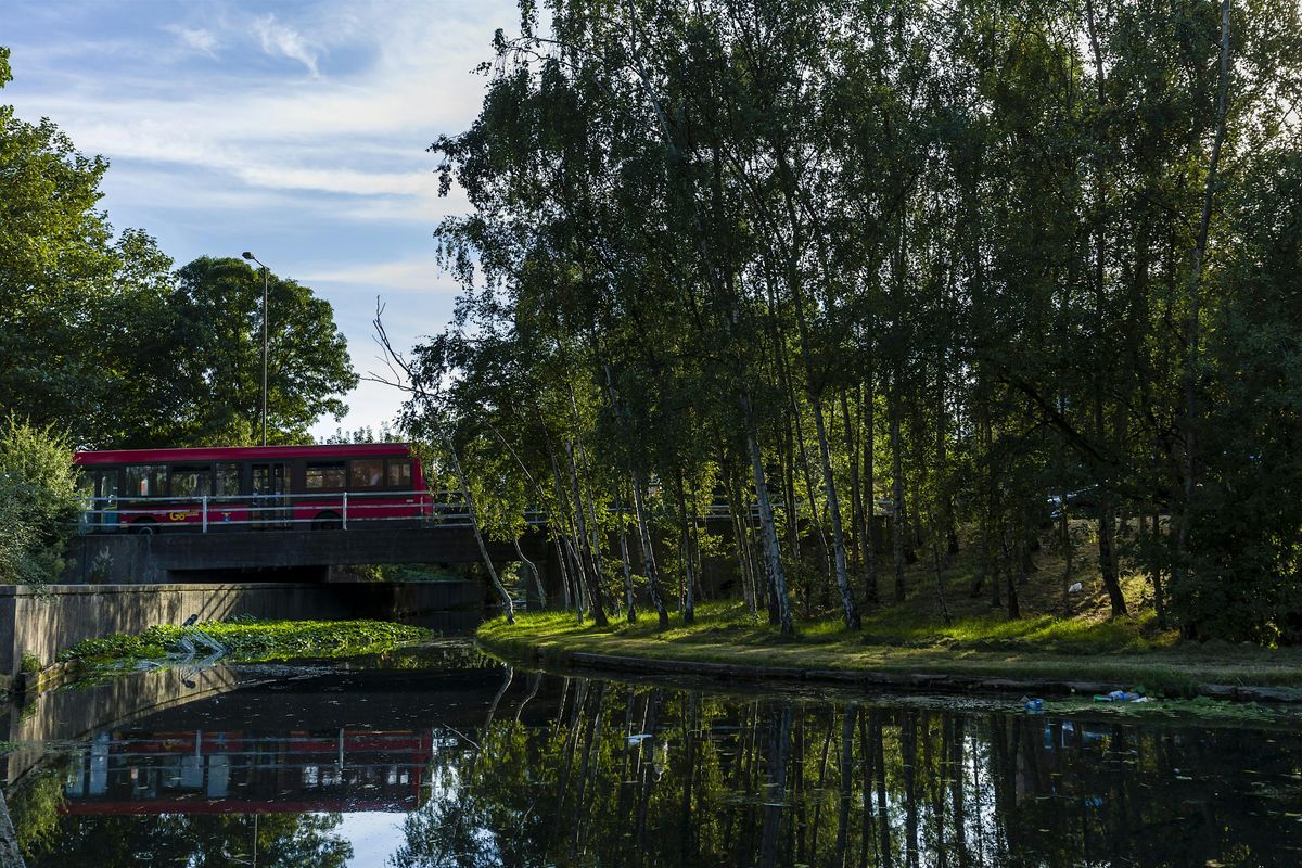 Thamesmead Tree Tour & Urban Forest Strategy workshop