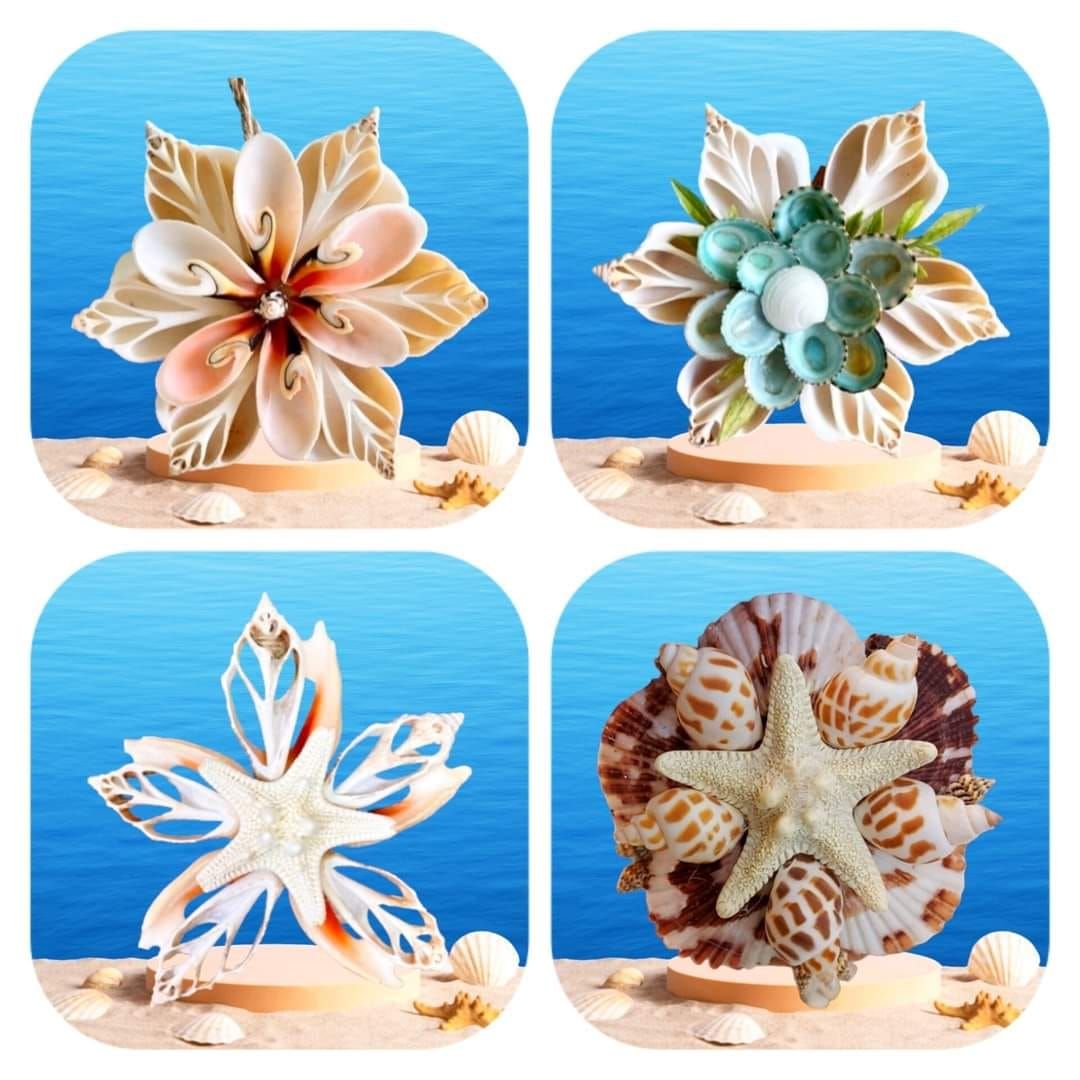 Seashell Ornaments (2)