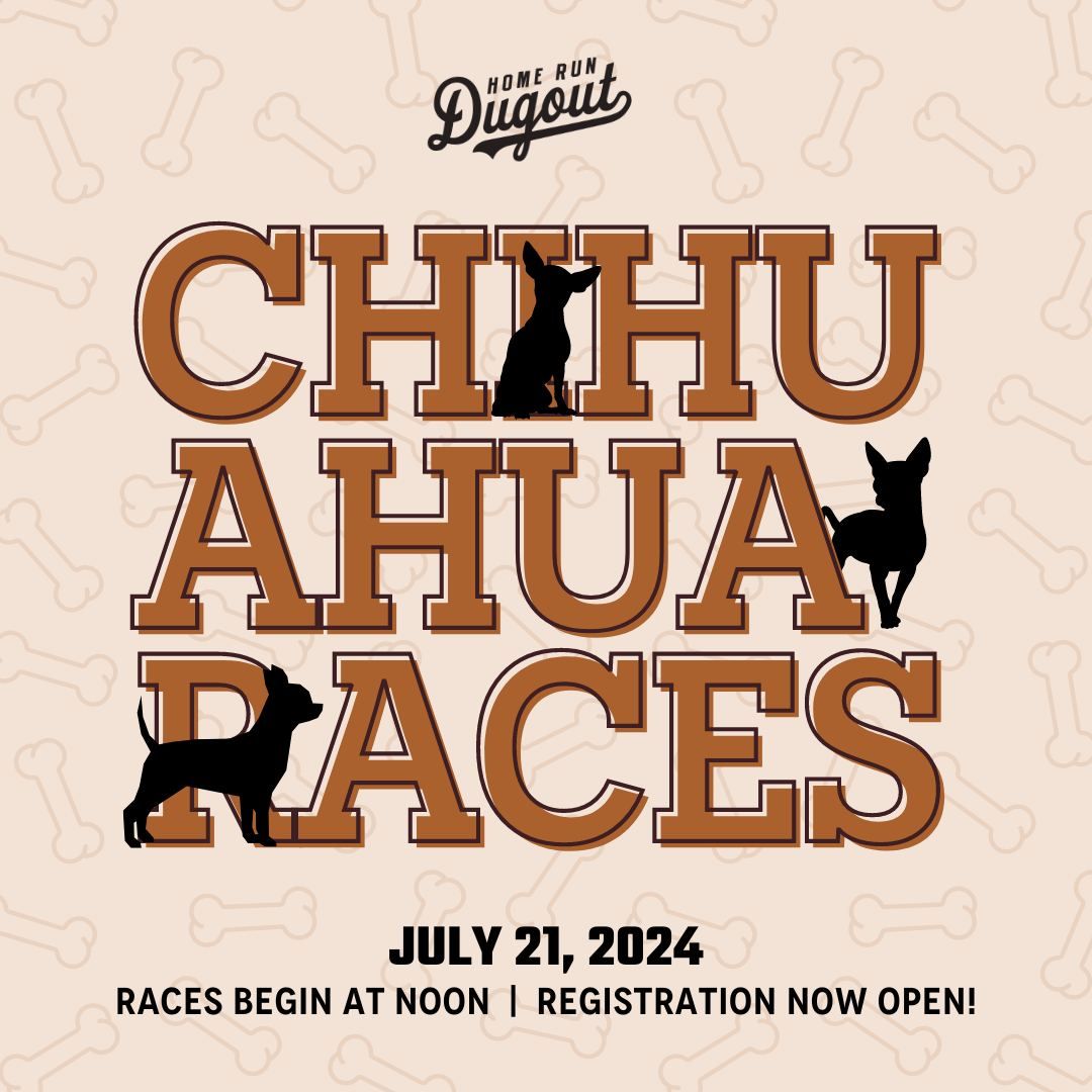 Chihuahua Races at Home Run Dugout - Katy