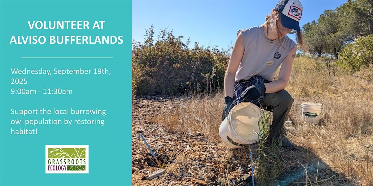 Volunteer Outdoors in Alviso at the Burrowing Owl Project (18+)