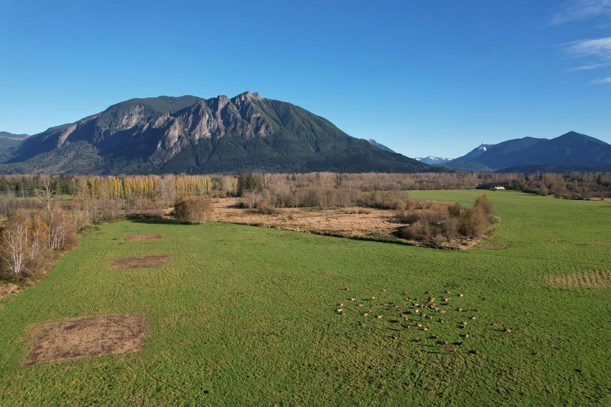 Bringing Camas Prairies Back to the Upper Snoqualmie Valley