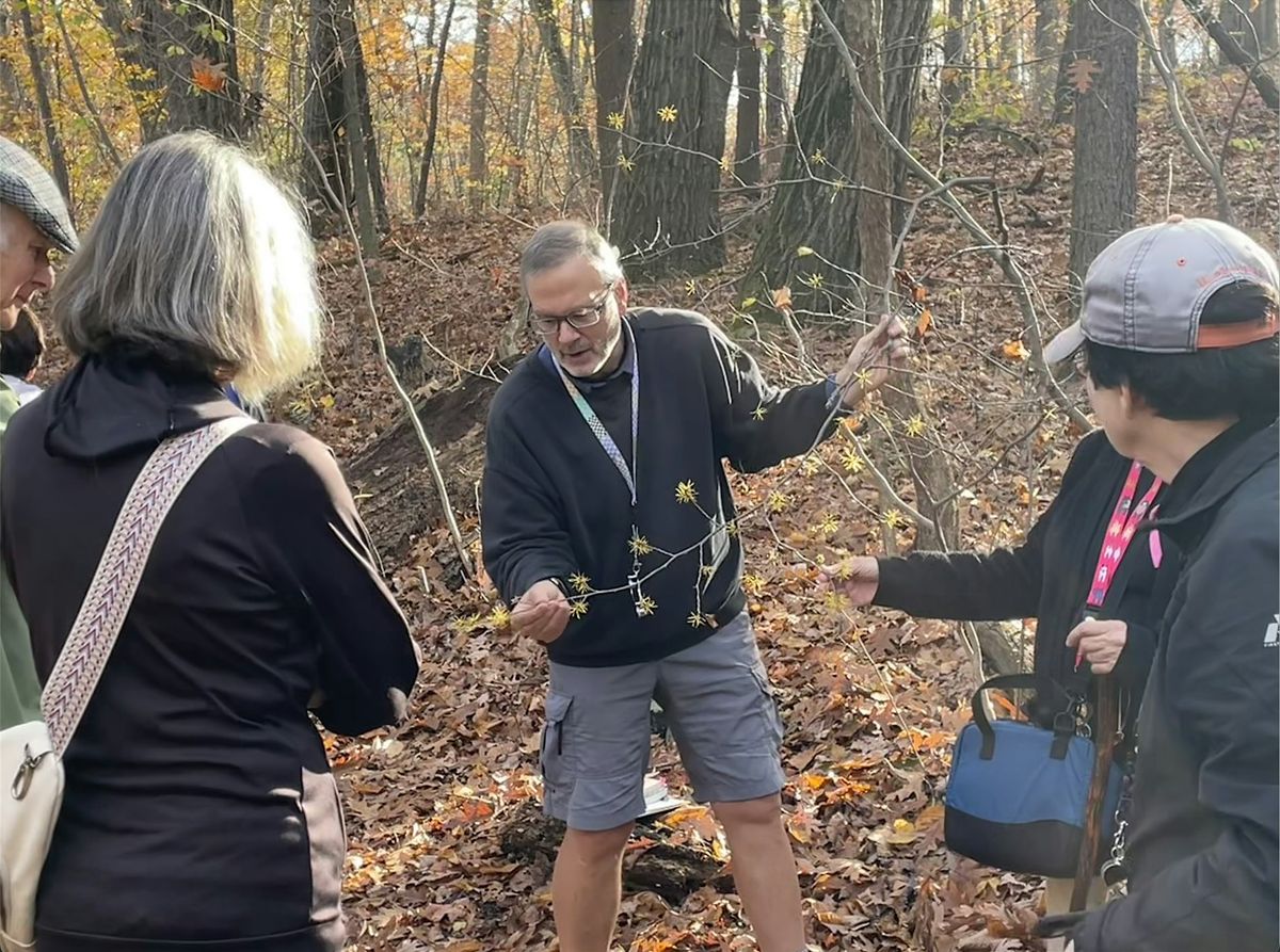 Winter Arrives Today - Plant Identification Walk at Greenwood Park