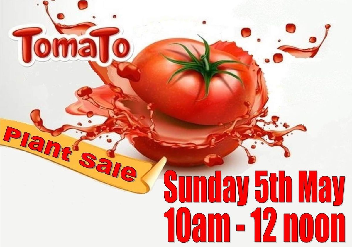 Tomato Plant Sale 