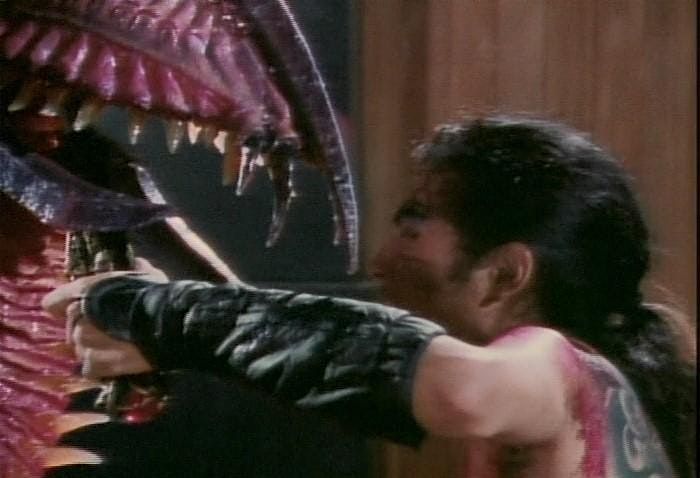 Ninja Dragon \/\/ Analog Sunday