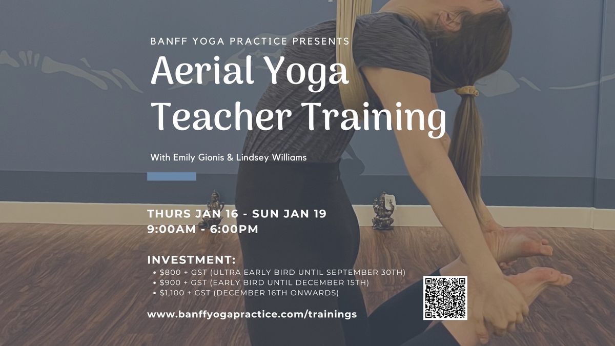 Aerial Yoga Teacher Training