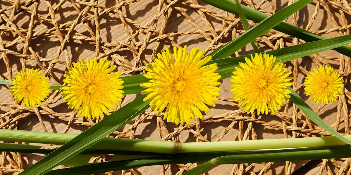Nature Weaving