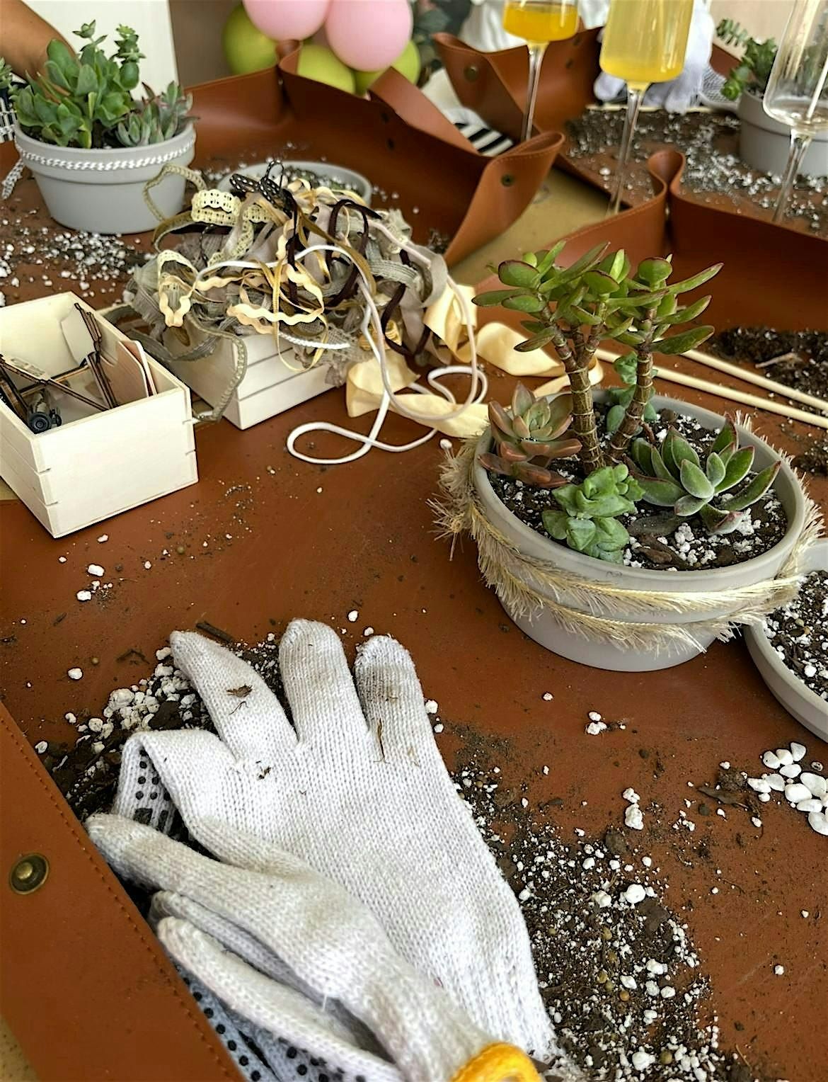 Plants & Finds