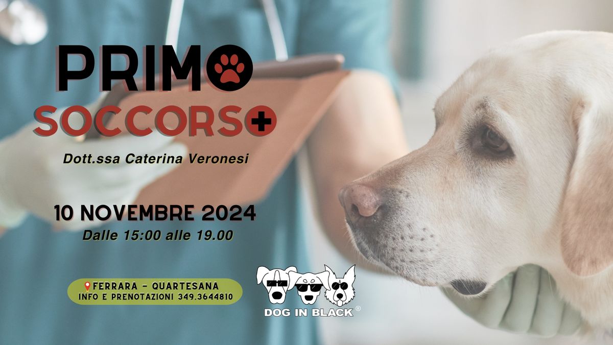 Primo Soccorso