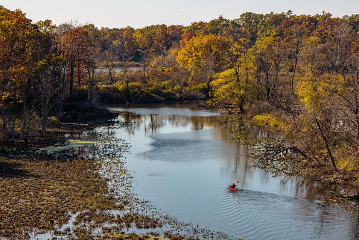 Chasing Fall (Galien River County Park)