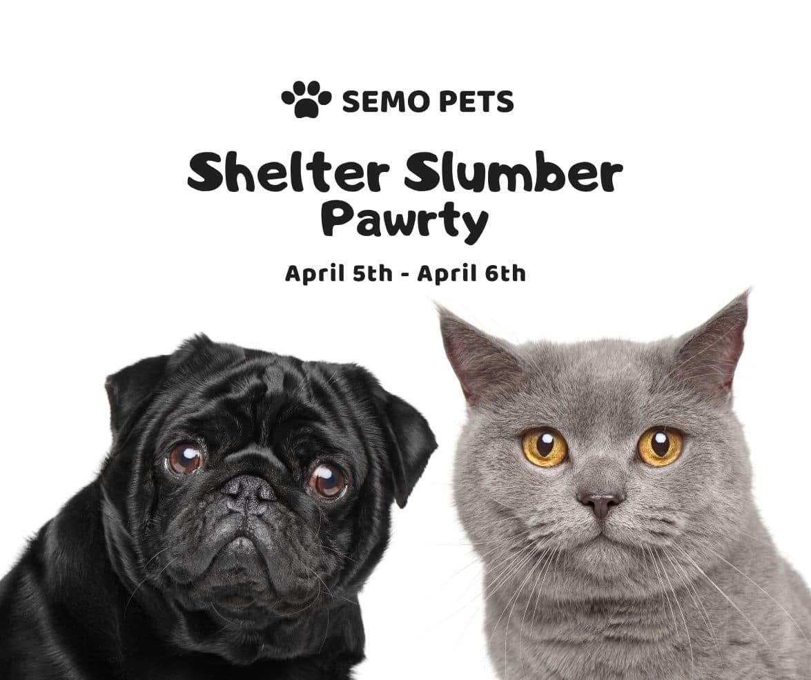 Shelter Slumber Pawty