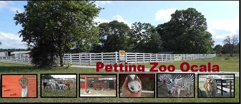 Ocala Petting Zoo