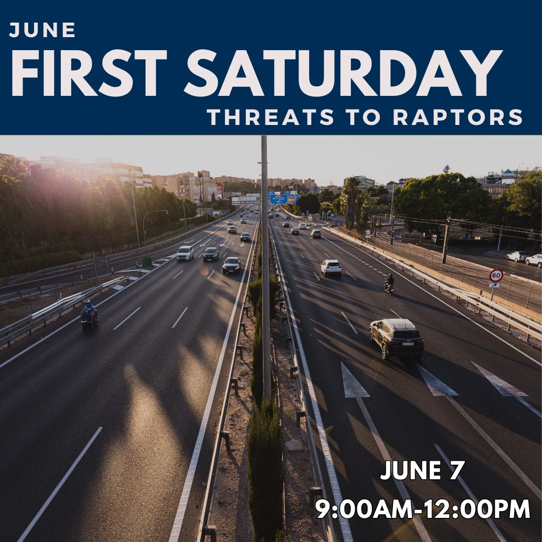 First Saturday - Threats to Raptors