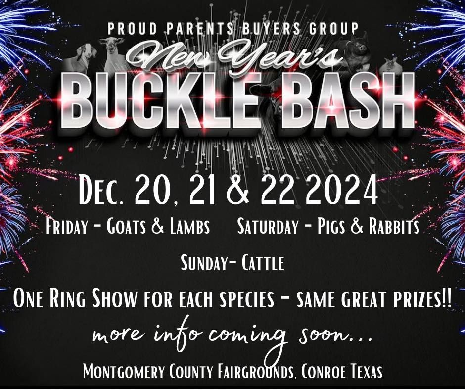 2024 New Years Buckle Bash Progress Show