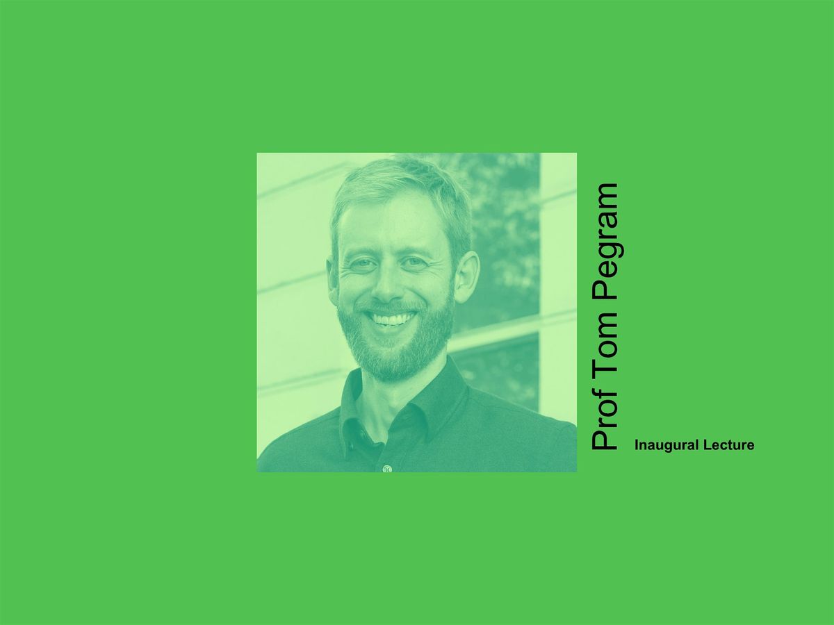 What Crisis? Rethinking Global Governance Through the Lens of Crisis