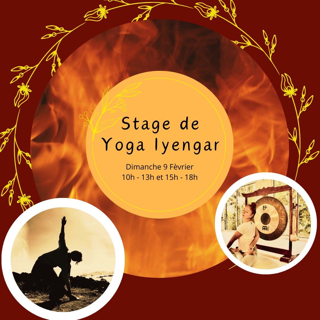 Stage de Yoga Iyengar : Le feu digestif (jathara Agni)