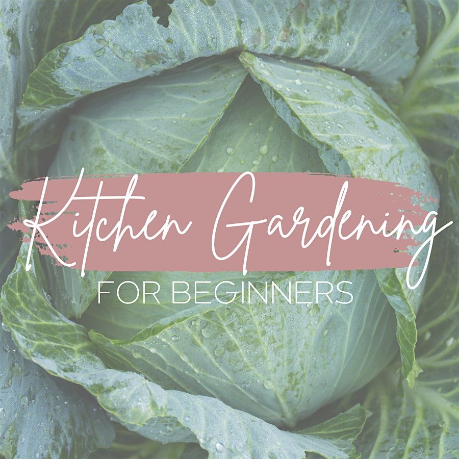 Kitchen Gardening 101