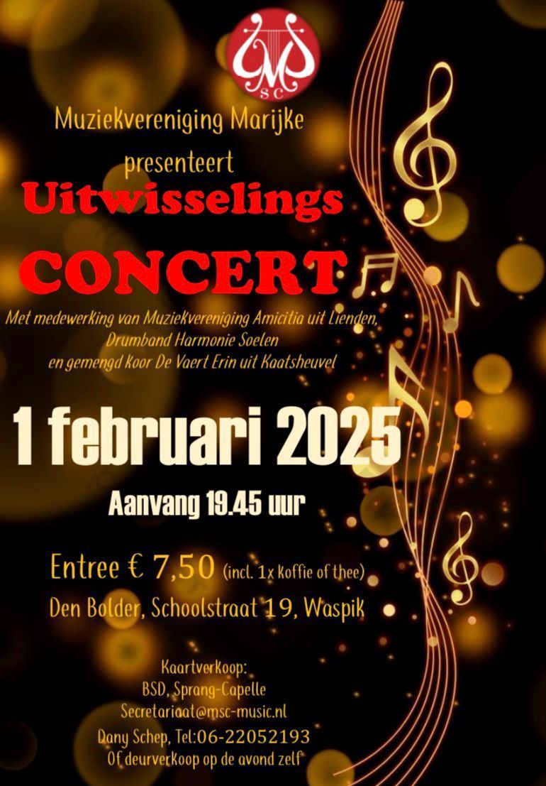 concert in Den Bolder