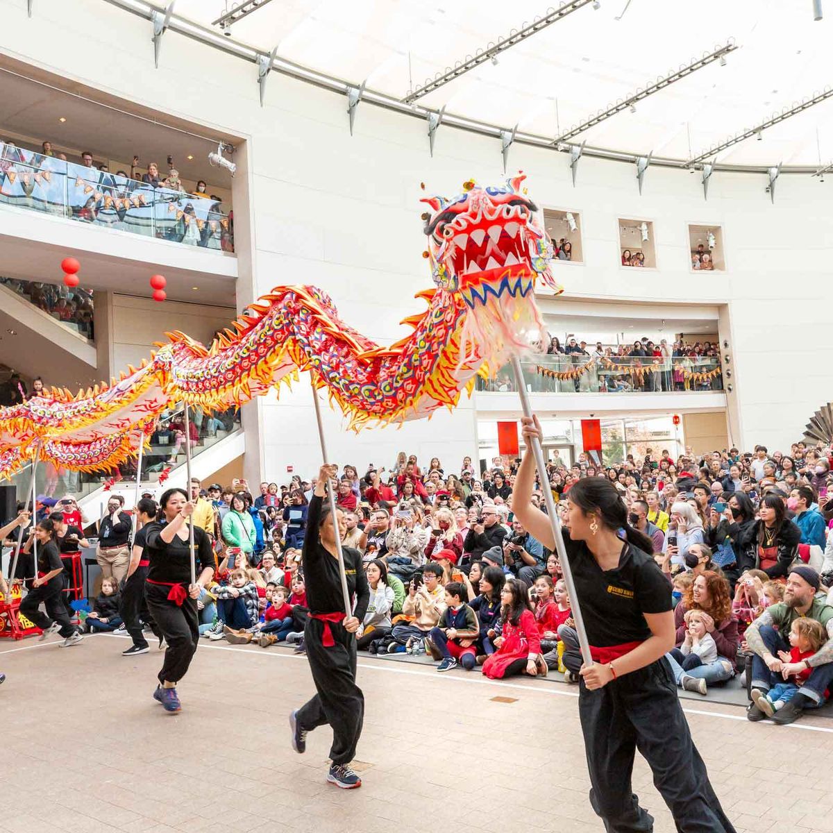 Lunar New Year Festival: Year of the Snake