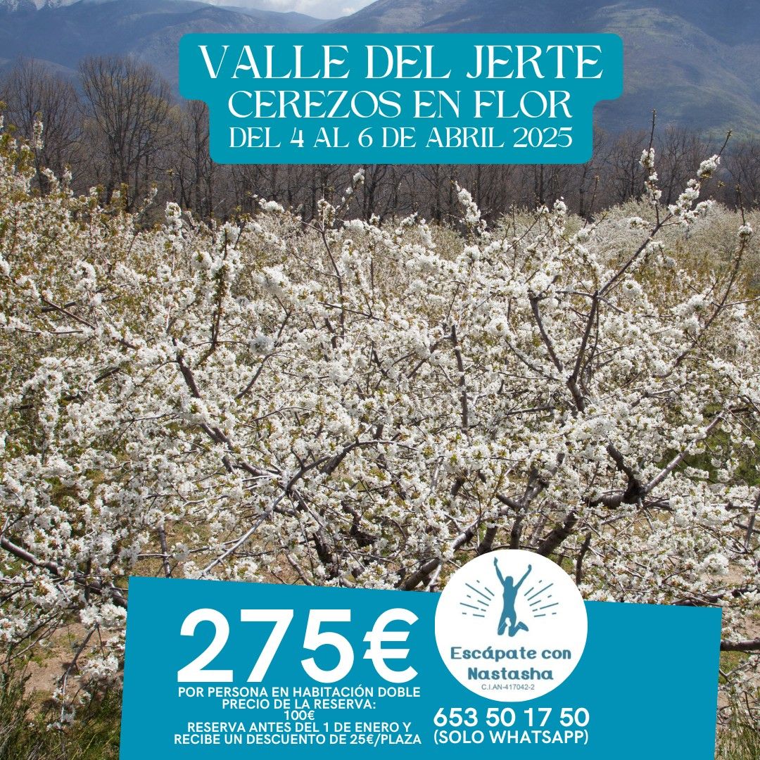 Cerezos en Flor - Valle del Jerte