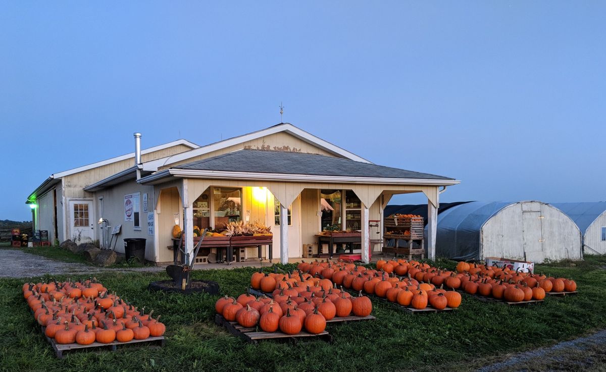 Fall Harvest Festival 