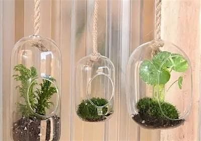 Create with Us: Make and Take, Terrariums