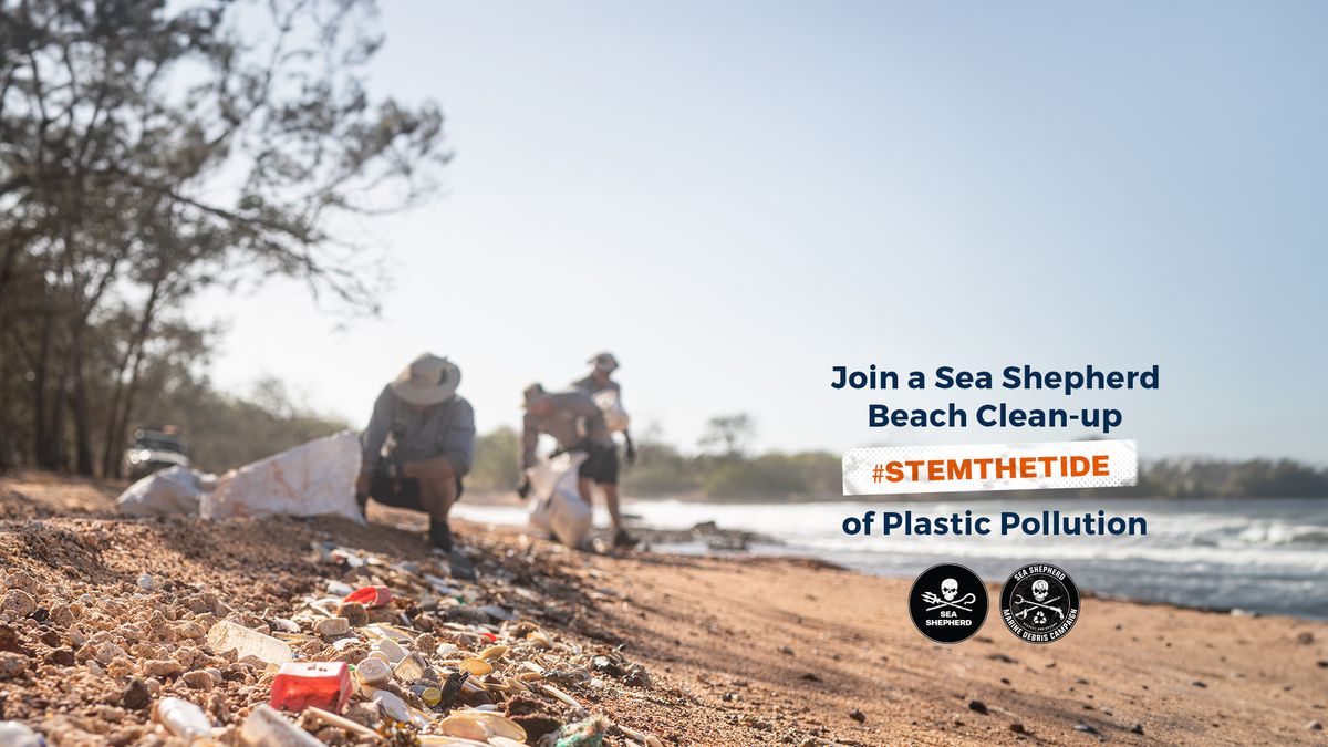 Adelaide, SA: Waitpinga Beach Clean-up: Marine Debris Campaign