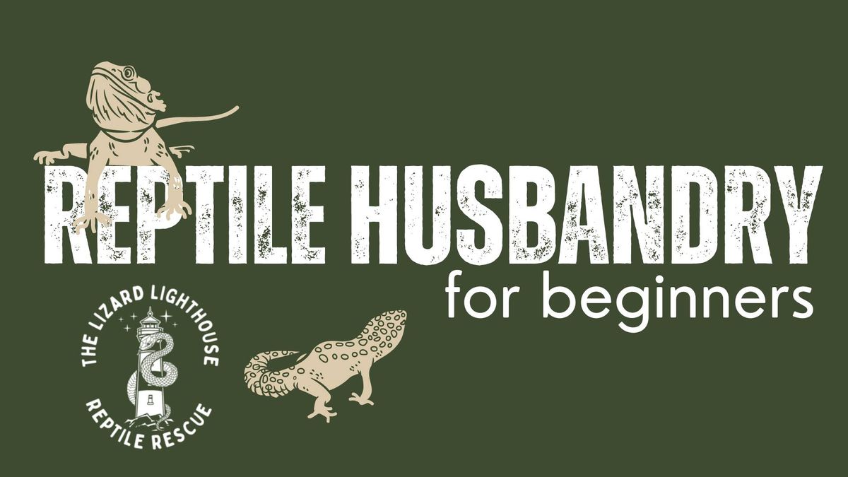 Reptile Husbandry for Beginners