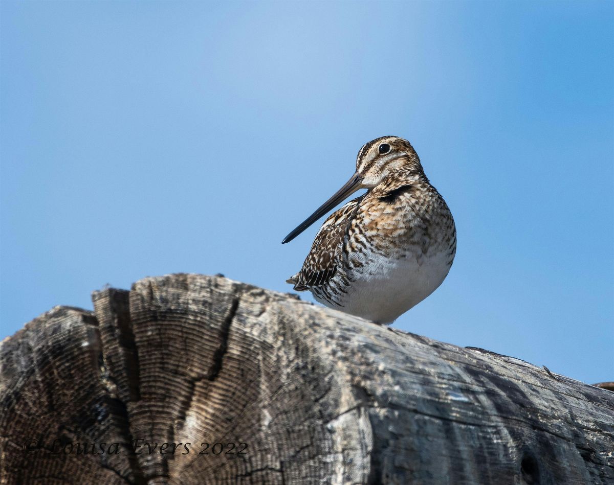 Field Trip: Camas Prairie-Centennial Marsh Wildlife Management Area