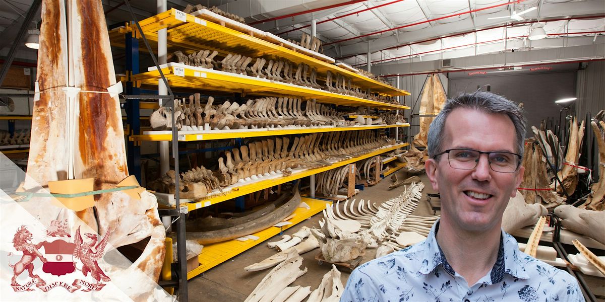 Nature\u2019s Memory | Behind the Scenes at the World\u2019s Natural History Museums