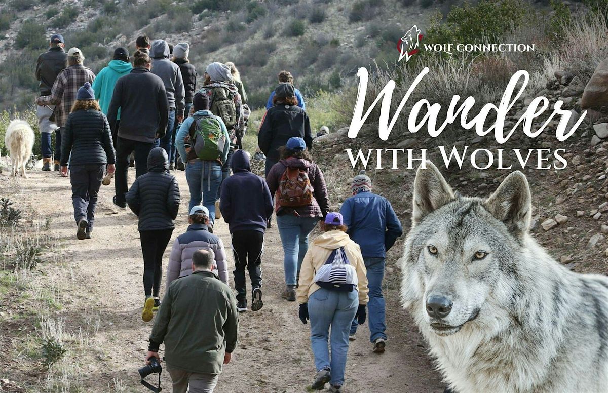 Wander with Wolves