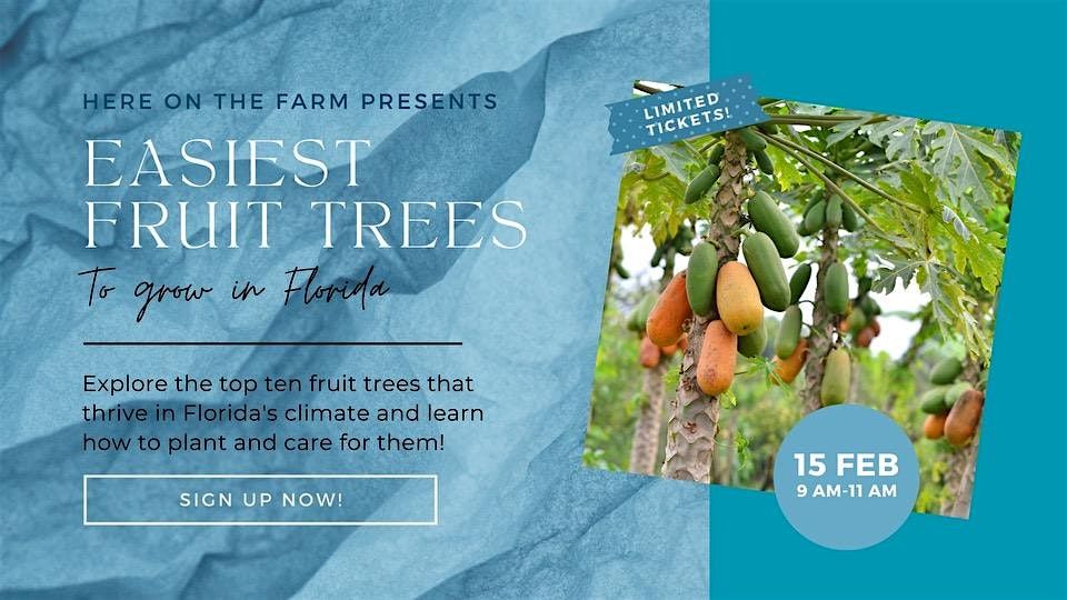 10 of the Easiest Fruit Trees to Grow in Florida