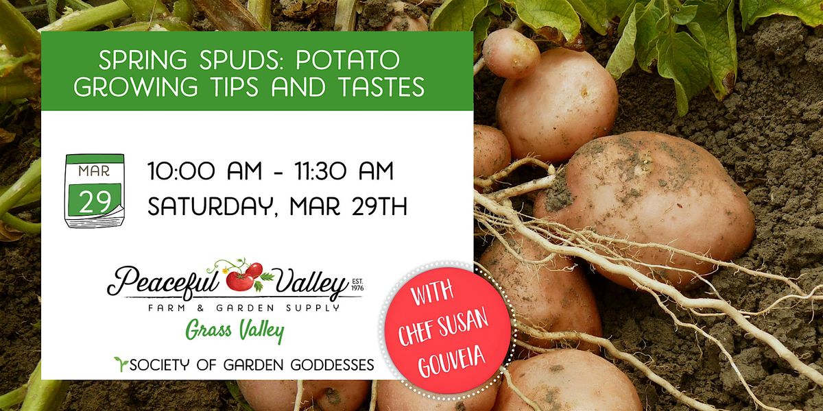 Spring Spuds: Potato Growing Tips & Tastes