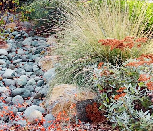 Drought Tolerant Landscaping: Goodbye Lawn, Hello Sustainable Yard