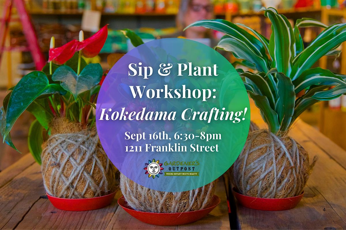 Sip & Plant Workshop: Kokedama Crafting!