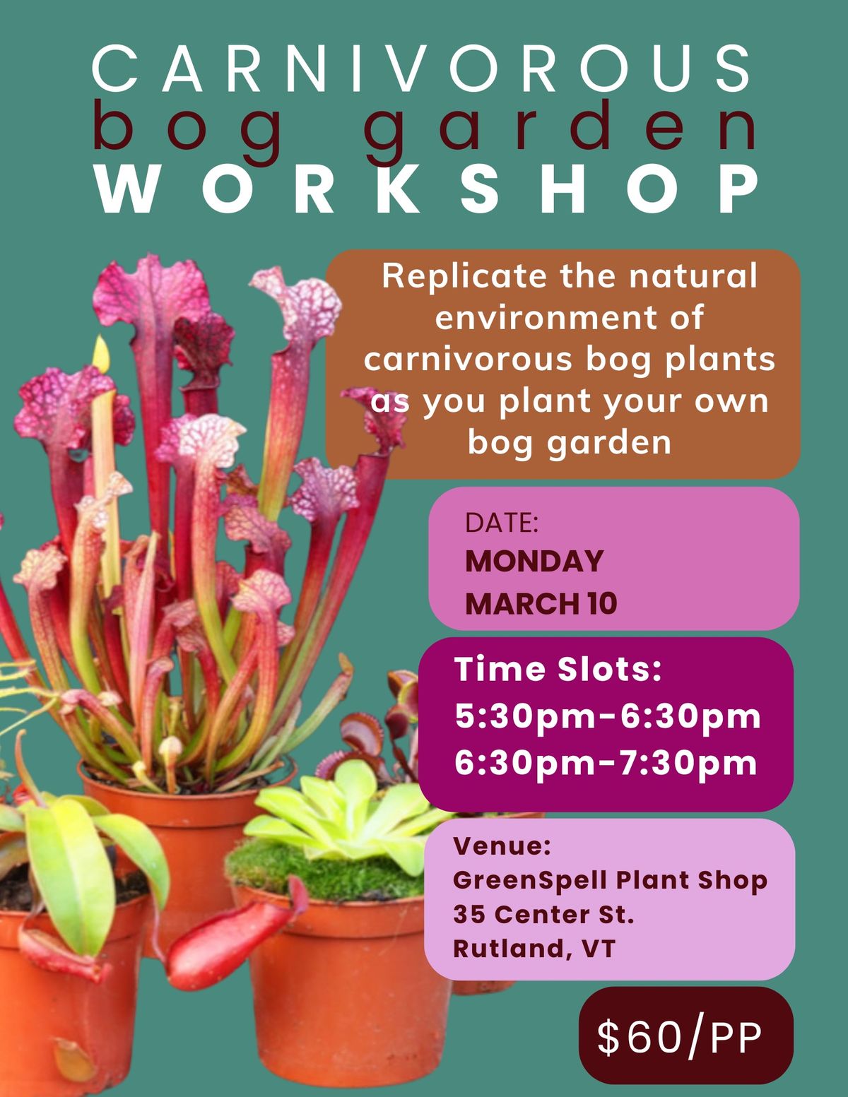 Carnivorous bog garden workshop