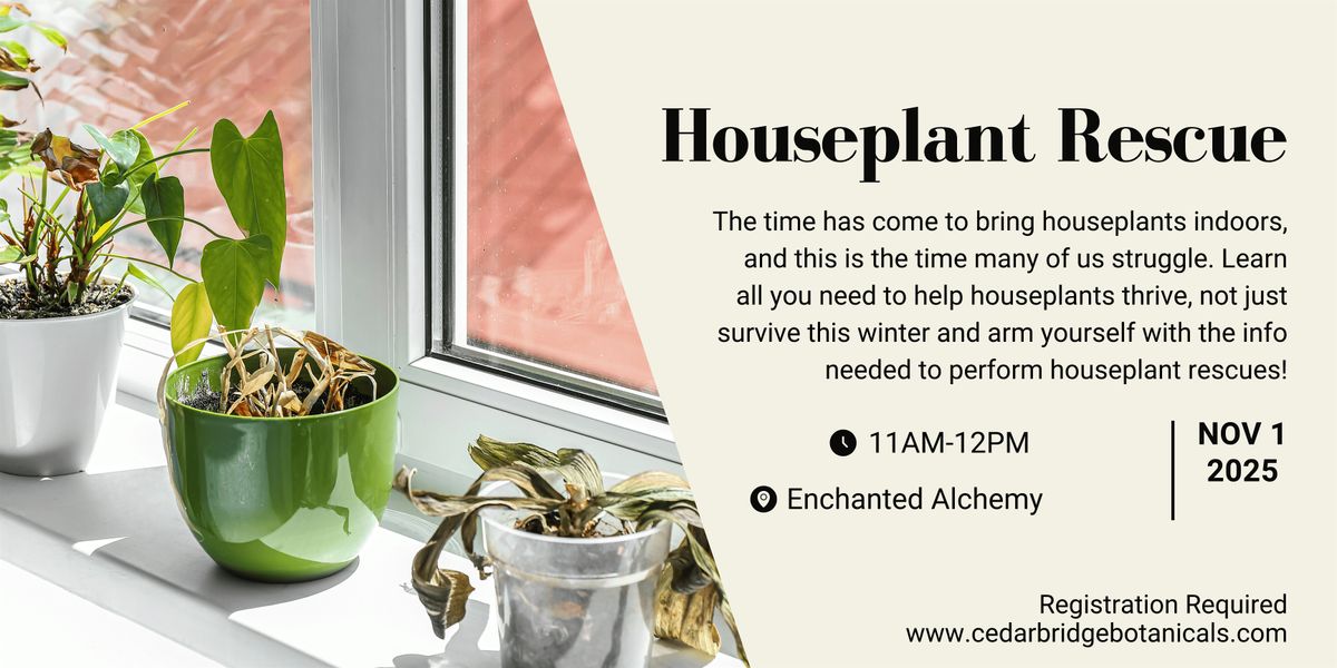 Houseplant Rescue