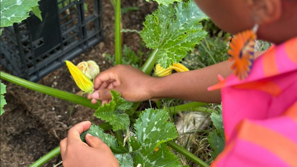 The White House Garden Club