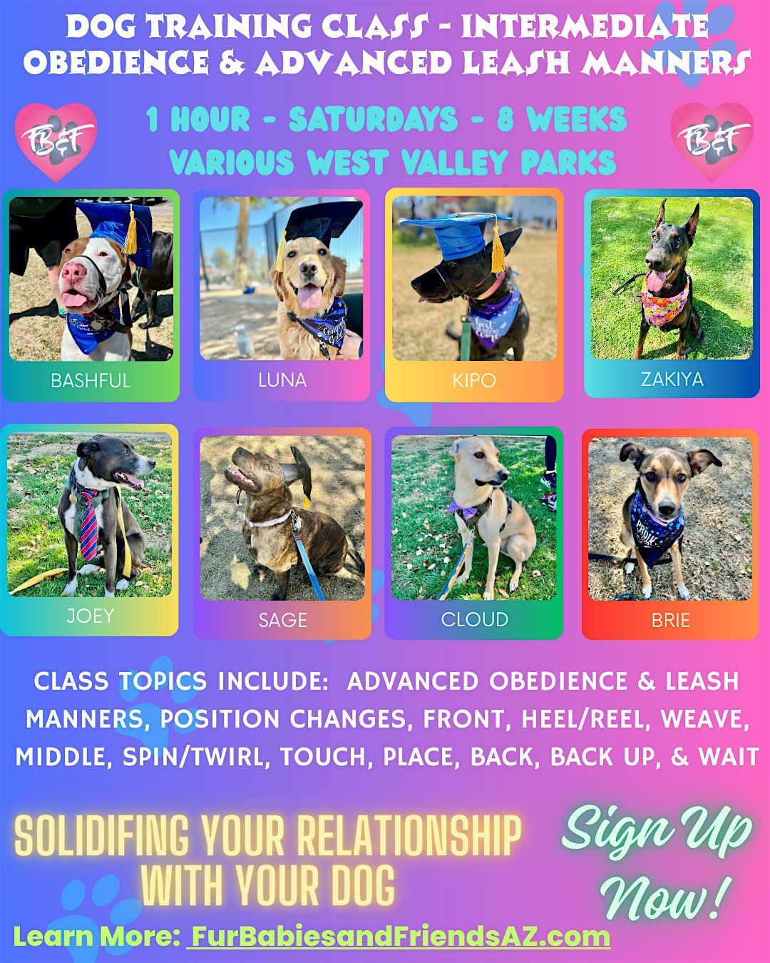 Dog Training Intermediate Obedience & Leash Manners Group Class 2- Glendale