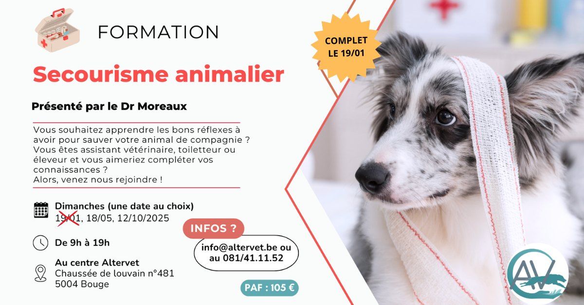 Formation secourisme animalier 