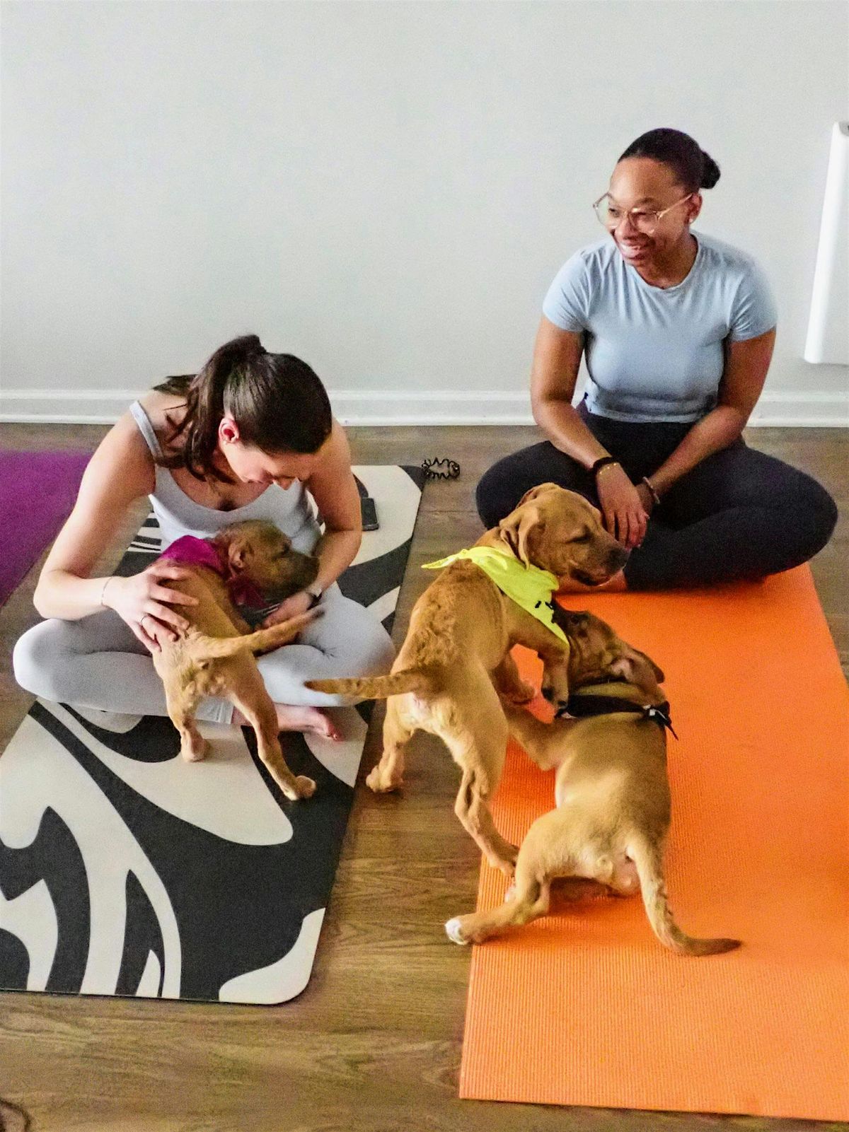 PUPPY YOGA