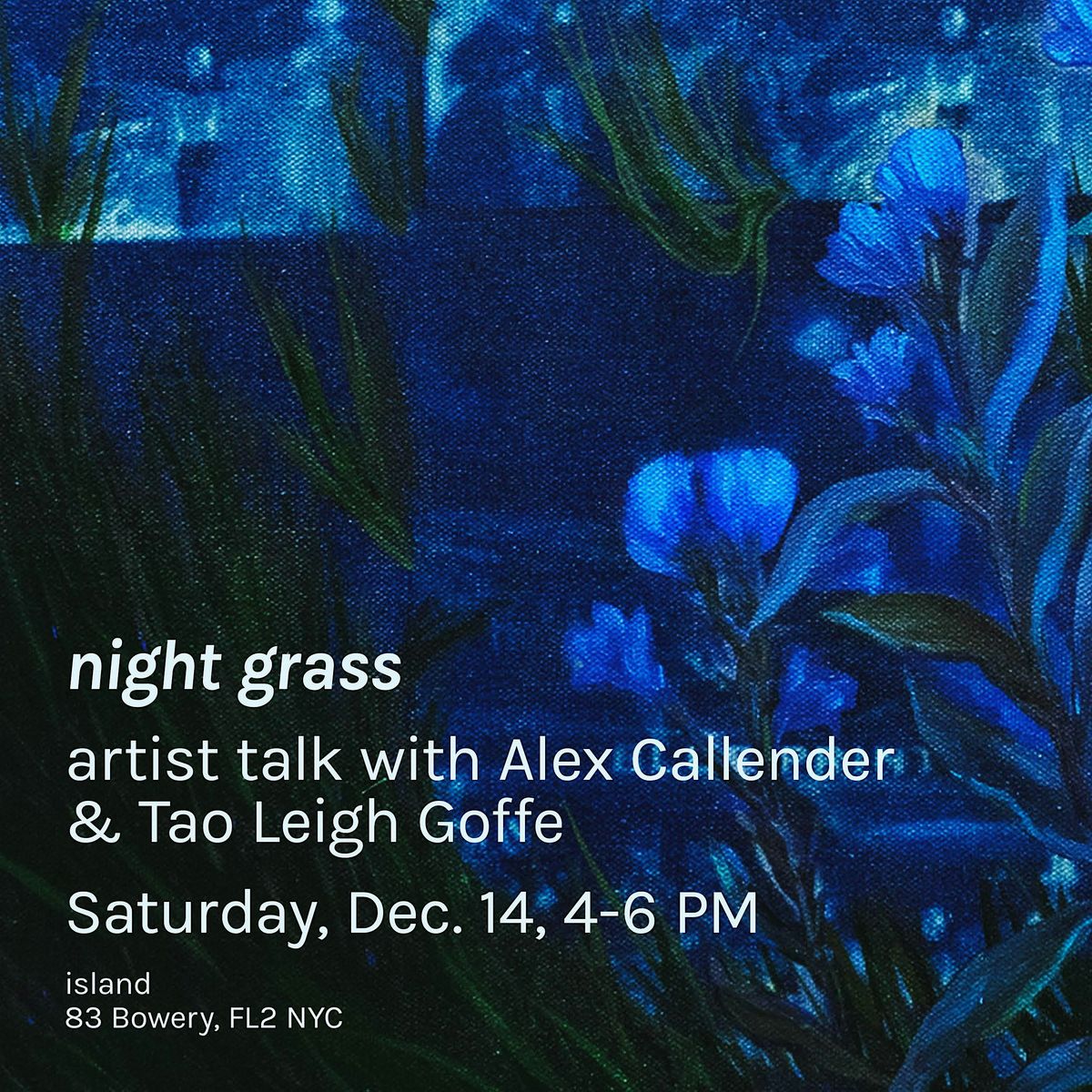 night grass: Exhibition Talk with Alex Callender and Tao Leigh Goffe