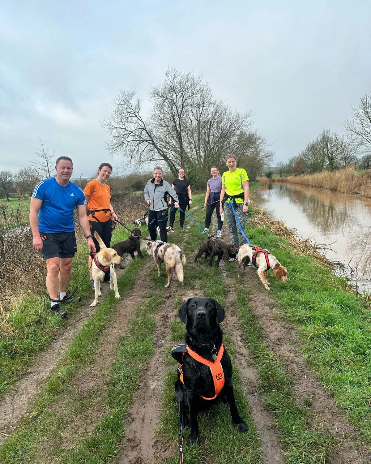 BarkRun at Longrun Meadow