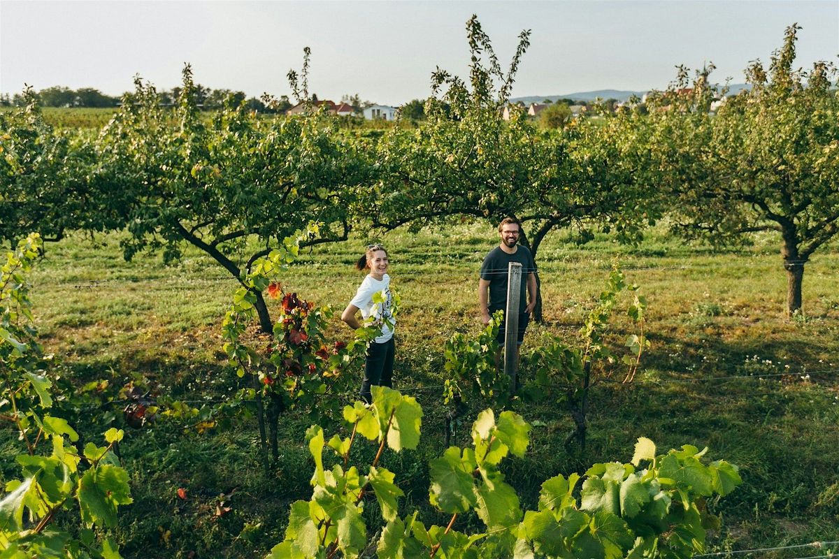 An Evening with Weninger: Crossing the borders of Austrian & Hungarian Wine