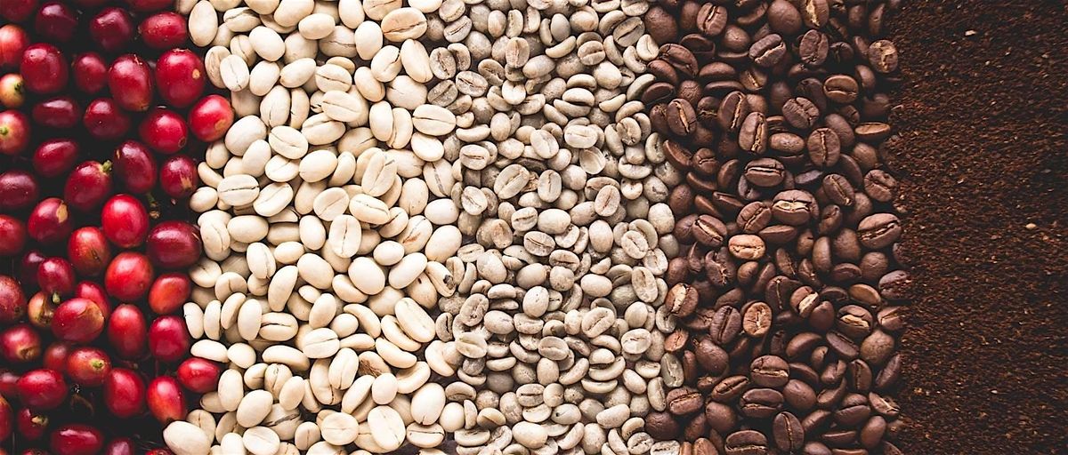 Roaster's Village and Panel Discussion