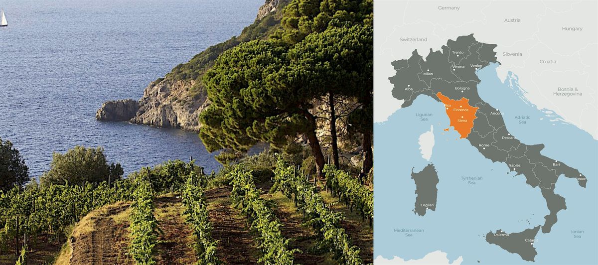 Sips of Italy: Antonio Sanguineti Wines