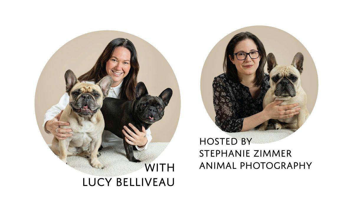 Healing Dogs Through Diet
