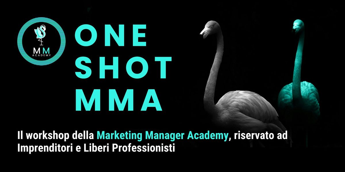 ONE-SHOT MMA: METODO DA ZERO A RESPONSABILE MARKETING